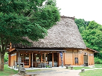 元気な野菜館